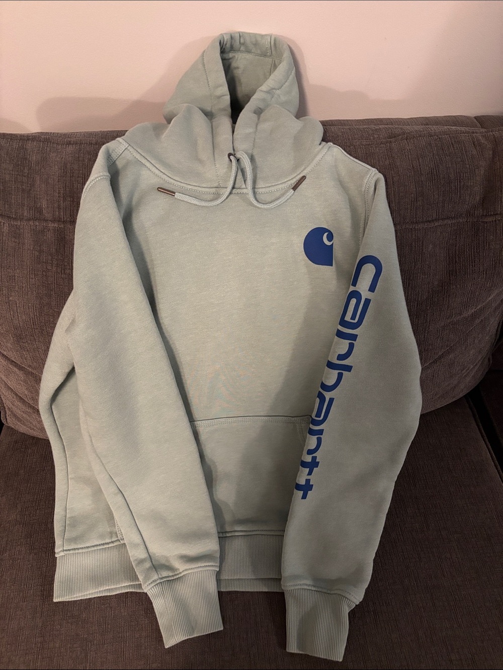Carhartt WIP Women’s Crewneck Hoodie in Light Sage with Blue Logo